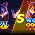 マルホン パチンコ 民事 再生Wolf Goldスロットvs Wolf Gold Power Jackpotスロットパチンコ 時給 ボーダー